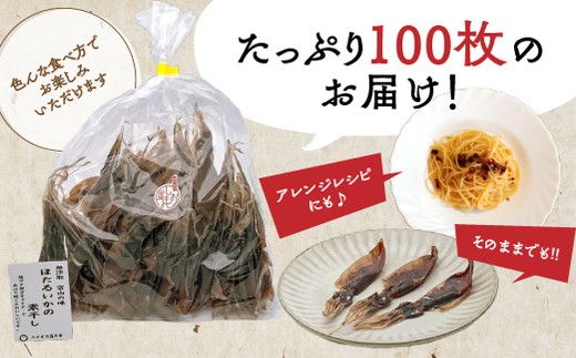 ほたるいか 素干し 100枚 おつまみ ハマオカ海の幸 ホタルイカ 干物 魚介 魚介類 海鮮 魚 つまみ