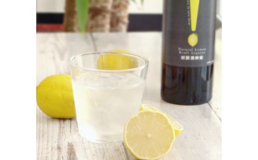 430.みかん・レモン辛口ハードリカーセット(A430-1)