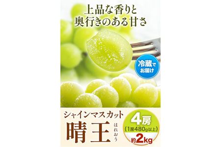 【2025年先行予約】シャインマスカット晴王 はれおう 4房(1房480g以上) 約2kg 株式会社山博(中本青果)《2025年8月下旬-10月中旬頃出荷》岡山県 浅口市 シャインマスカット 晴王 ぶどう マスカット 大粒 フルーツ 秀品 旬 果物 贈り物 ギフト 国産 岡山県産 送料無料---124_c251_8g10c_23_46000_2kg---