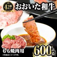 おおいた和牛 もも焼肉用 (600g) 国産 牛肉 肉 霜降り A4 和牛 焼肉 ブランド牛 冷凍 BBQ 大分県 佐伯市 【FW007】【 (株)ミートクレスト】