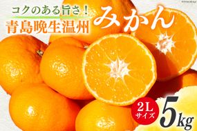 みかん 5kg【期間限定発送】コクのある甘さ うまぁ〜い！！青島晩生温州みかん 2L [黒田農園 宮崎県 日向市 452060135] 果物 フルーツ ミカン 蜜柑 柑橘