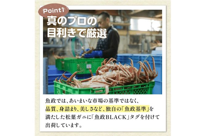 【蟹の匠 魚政】茹で　プレミアムズワイガニ 魚政BLACK（松葉ガニ・越前ガニ）特撰 特大サイズ（1200～1300g） 1匹(11月～12月発送)　UO01300