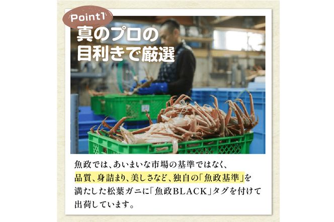 【蟹の匠 魚政】急速冷凍　捌き調理済み　茹でプレミアムズワイガニ魚政BLACK 1300g級 1匹(2025年1月～発送)　UO01125