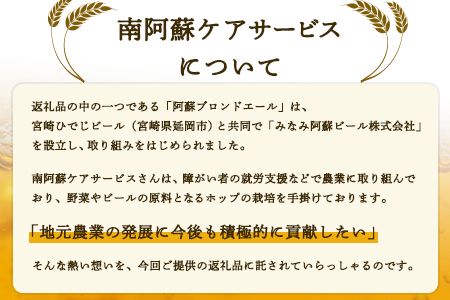 阿蘇ブロンドエール 330ml×6本セット 贈答用 熊本県南阿蘇村《90日以内に出荷予定（土日祝を除く）》株式会社南阿蘇ケアサービス ビール---sms_carebeerp_90d_r7_15500_6i---