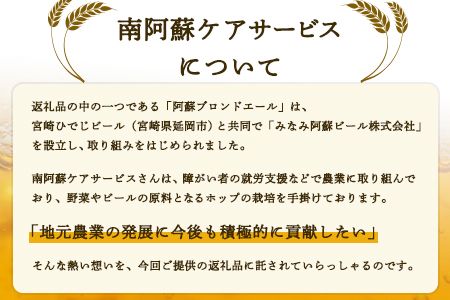 阿蘇ブロンドエール 330ml×6本セット 贈答用 熊本県南阿蘇村《90日以内に出荷予定（土日祝を除く）》株式会社南阿蘇ケアサービス ビール---sms_carebeerp_90d_23_16500_6i---