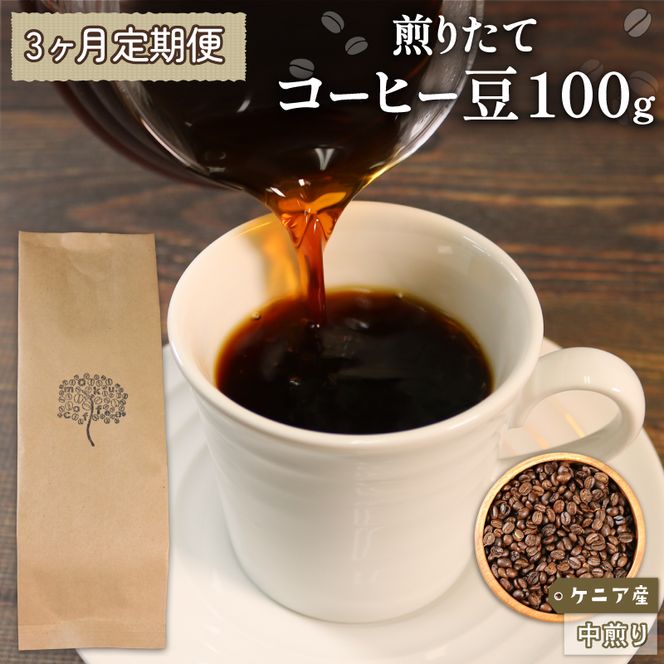 【3ヶ月/定期便】 自家焙煎 コーヒー 豆 100g ケニア 中煎り [moku4000]	