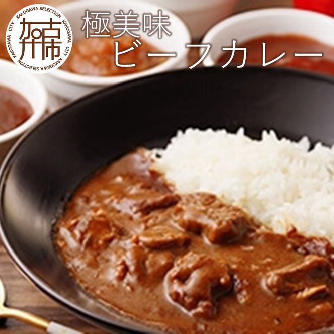 極美味ビーフカレー 4個セット＜レギュラー2個・マイルド2個＞《 おすすめ カレー 人気 レトルト 牛肉 ビーフカレー セット 詰め合わせ お取り寄せ グルメ 送料無料 》【2401I00801】