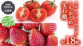 とちおとめ と フルーツミニトマトの宝石箱 18粒【令和7年1月から発送開始】（県内共通返礼品：石岡市産） 詰め合わせ 果物 フルーツ 茨城県産 [BI468-NT]