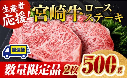 《数量限定》宮崎牛ロースステーキ2枚 (500g) 肉 牛肉 宮崎県産 黒毛和牛 [D0602]