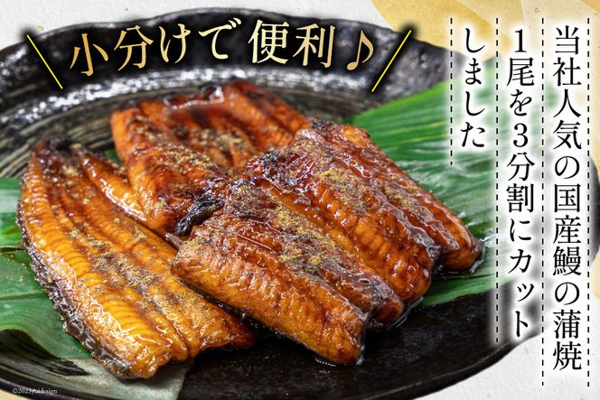 通販 送料無料  うなぎ 国産 蒲焼き 赤身50g×5袋 ウナギ142g前後×1尾 セット 馬刺し ぬいぐるみ