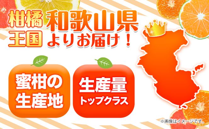 ＜先行予約＞紀州有田産ブラッドオレンジ 約3kg 【ご家庭用】 魚鶴商店《2027年3月上旬-3月下旬頃出荷》 和歌山県 日高町 紀州有田産 オレンジ みかん ご家庭用---wsh_huo7_a4_23_17000_3kg---