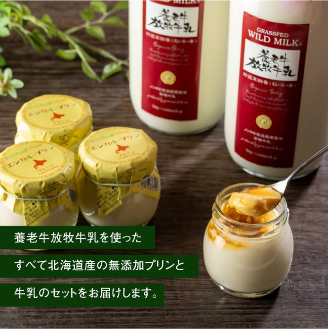 オーガニック＆グラスフェッド養老牛放牧牛乳900ml×2本とエシカル・プリン×4個セット【13012】