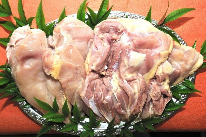 yÉaszyz`LzQElQtbVZbgy@Ƃz