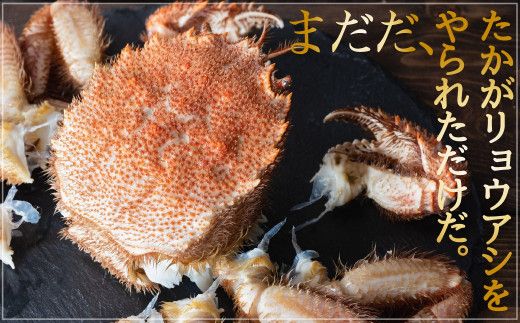 【令和8年発送】三陸産！活毛ガニセット(250g×3杯(3尾))【2026年2月〜4月発送】【配送日指定不可】【0tsuchi00554】【08】