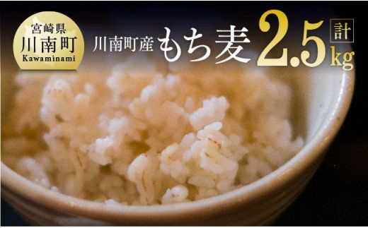 令和7年産 もち麦 2.5kg(500g×5袋) [ ふるさと納税 国産 麦 もち麦 食物繊維 数量限定 宮崎県産 川南町産 送料無料 ] [C05401]