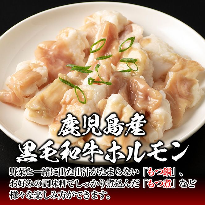 isa530 ≪毎月数量限定≫鹿児島産黒毛和牛ホルモン(合計800g・200g×4P)【財宝】
