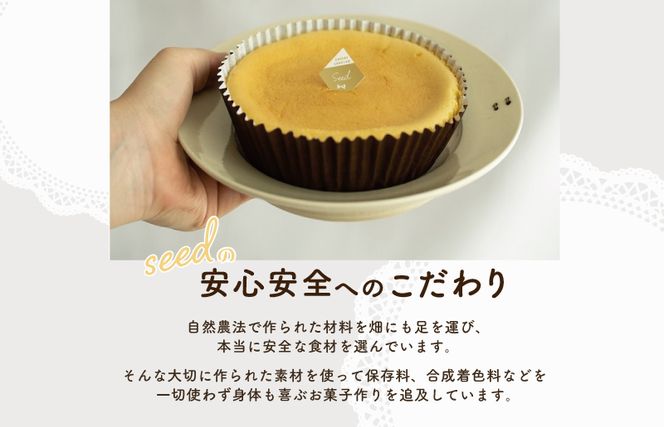 099H2061m 【母の日】レイヤーチーズケーキ 6個セット