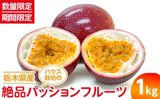 【数量限定】【期間限定】栃木県産ハウス栽培の絶品パッションフルーツ1kg ◇南国フルーツ◇ ※2024年6月下旬頃より順次発送予定