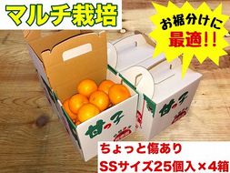 手さげ箱 ちょっと傷 マルチ栽培 有田 みかん SS サイズ 25個入 × 4箱 南泰園 BS673