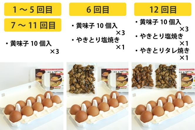 BE291【定期便】島原のたまご 黄味子Ａセット 計12回お届け
