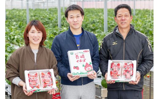 【期間限定発送】DF107 長崎県知事賞受賞【 大玉 いちご 】「 ゆめのか （3L～5L）」265g×4パック ＜12月までにお届け＞