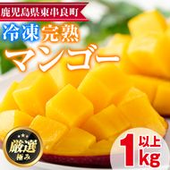 【0142616a】＜数量限定＞鹿児島県産！南国の恵み！まるごと冷凍完熟マンゴー(約1kg・2-3個)果物 フルーツ 果実 冷凍 デザート 国産【甘宮】