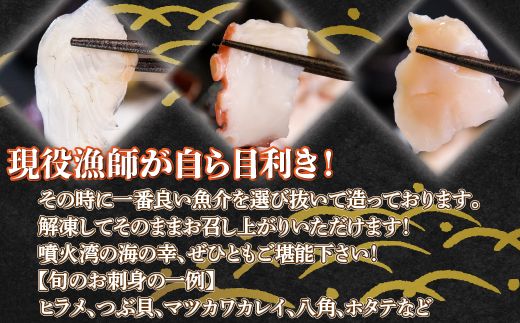 地元漁師 厳選 噴火湾産 旬のお刺身セット 北海道 豊浦 TYUR011
