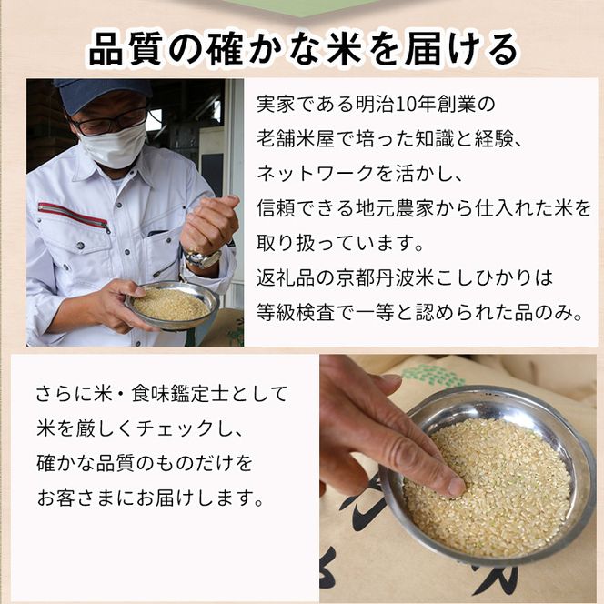 【12月末まで】【定期便】令和7年産 新米 京都丹波米こしひかり5kg×12回 計60kg〇12ヶ月 12か月 白米 ※精米したてをお届け ｜契約栽培米 緊急支援 米 コシヒカリ 京都丹波産 ※北海道・沖縄・離島への配送不可