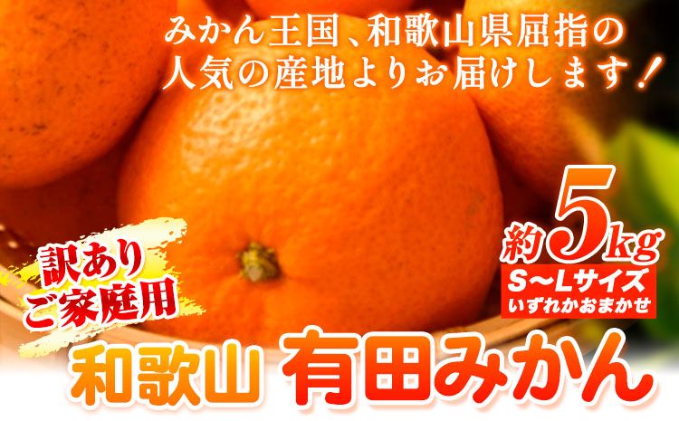 [訳あり・ご家庭用]和歌山有田みかん 5kg(S〜Lサイズいずれかお届け) 厳選館 [11月中旬-2月上旬頃出荷予定] 和歌山県 日高町 みかん 有田みかん 柑橘 フルーツ---wsh_gsk34_g112_24_9000_5kg---