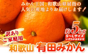 【訳あり・ご家庭用】和歌山有田みかん 5kg（S～Lサイズいずれかお届け） 厳選館 《11月中旬-2月上旬頃出荷予定》 和歌山県 日高町 みかん 有田みかん 柑橘 フルーツ---wsh_gsk34_g112_24_9000_5kg---