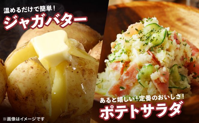 【先行予約】熊本県 八代市産 潮風薫る 新じゃがいも (メークイン) 10kg ジャガイモ メークイン 新じゃが カレー 肉じゃが 炒め物 野菜 芋 熊本県 八代市 【2026年6月上旬より順次発送】