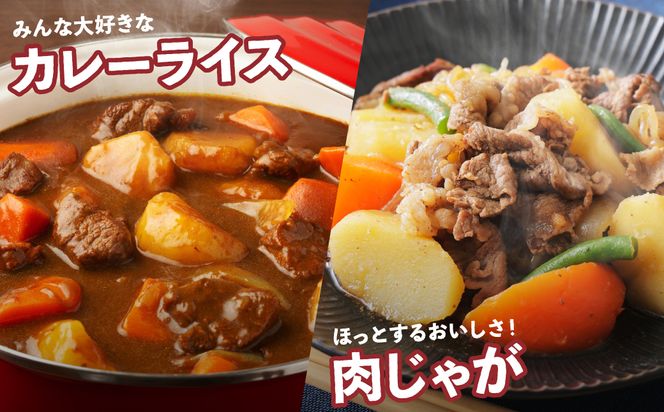 【先行予約】熊本県 八代市産 潮風薫る 新じゃがいも (メークイン) 10kg ジャガイモ メークイン 新じゃが カレー 肉じゃが 炒め物 野菜 芋 熊本県 八代市 【2026年6月上旬より順次発送】