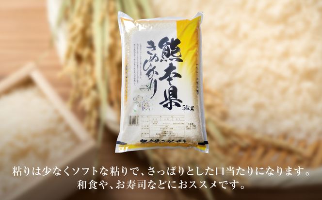 【令和7年産】 熊本県産 きぬひかり 10kg（5kg×2袋） 米 お米 精米 白米 ごはん ご飯 熊本