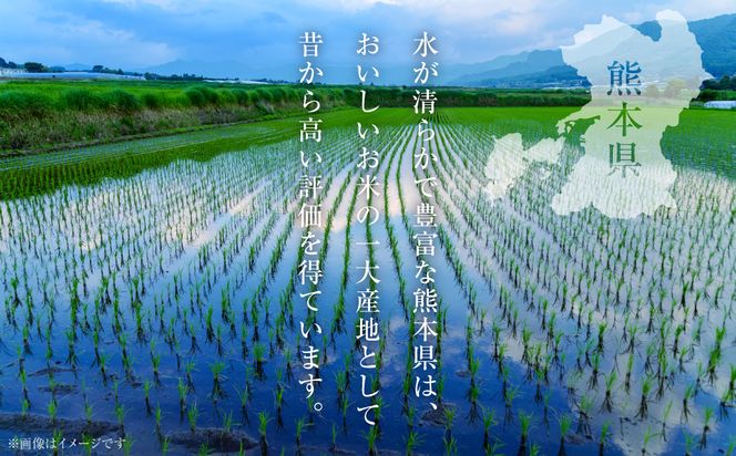 令和6年産】≪新米≫ 熊本県産 ひとめぼれ 10kg（5kg×2袋） お米ひとすじ八代食糧！ （熊本県八代市） |  ふるさと納税サイト「ふるさとプレミアム」