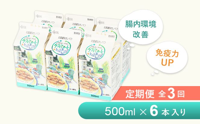 【定期便：全3回】ケフィアオーレ 500ml×６本【14038】