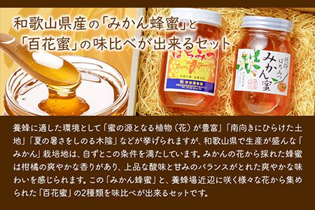 【和歌山県日高川町】みかん蜂蜜と百花蜜　蜂蜜２種類セット 株式会社フラット・フィールド・オペレーションズ 日高川町事業所 (道の駅SanPin中津)《90日以内に出荷予定(土日祝除く)》 和歌山県 日高川町 蜂蜜 みかん 百花---wshg_spn2_90d_24_22000_2p---