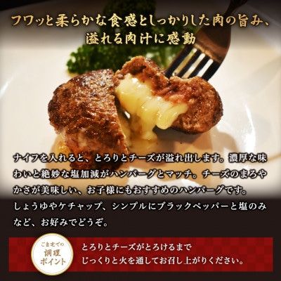 大人気！【別海牛100%と別海町ゴーダチーズ】チーズがとろける!別海チーズインハンバーグ(120g×3個)【ND0000067】