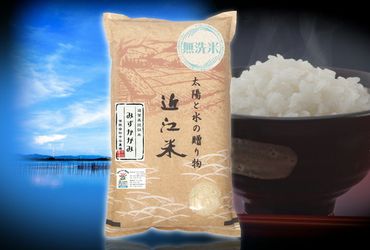 【5年産】近江米 環境こだわり栽培 みずかがみ 無洗米 【10kg×1】【BN02SM1】
