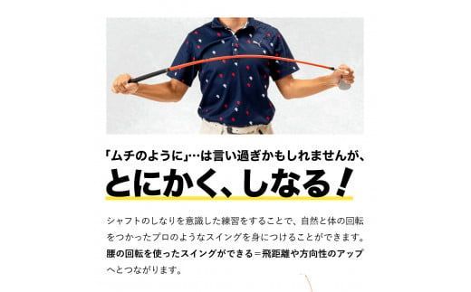 030TA01N.スイングトレーナー Roger King