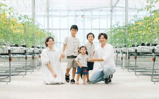 嫁がうまいと言う日まで ミニトマト 800g 八代市産 ミニトマト 新鮮 野菜 池田農園 全国ミニトマト選手権 冬 春 旬