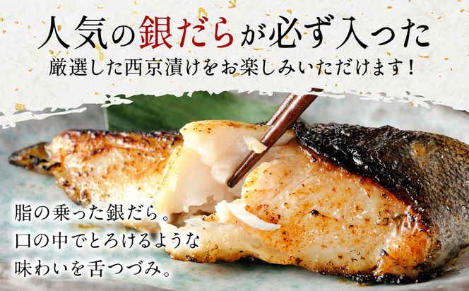 【訳あり】 厳選 鮮魚 西京漬け 1.2kg 銀だら入り たっぷり 20枚 西京焼き 4切れ×5袋 （魚 さかな 鮮魚 旬の魚 西京 漬魚 おまかせ セット 西京味噌 鯖 サバ 鮭) 【順次発送】