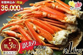 訳あり ボイル ずわいがに 肩付き脚 総重量1kg カニ かに ズワイガニ ずわい蟹 ズワイ蟹 ずわい ズワイ 蟹 カニ カニ脚 蟹脚 不揃い 規格外 海鮮 [カネダイ 宮城県 気仙沼市 20564325_CF01]