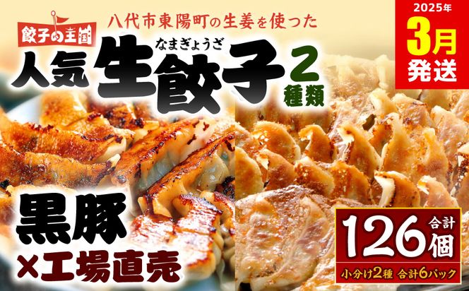 【2025年3月発送】八代市東陽町の生姜を使った 餃子の王国 人気生餃子126個 ぎょうざ ギョウザ