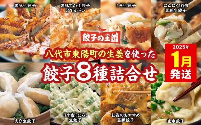 【2025年1月発送】八代市東陽町の生姜を使った 餃子の王国 餃子 8種詰合せ 生餃子