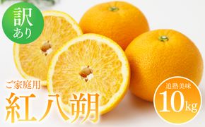 【先行予約】【訳あり】紅八朔 ご家庭用 約10kg【2025年2月上旬より順次発送】