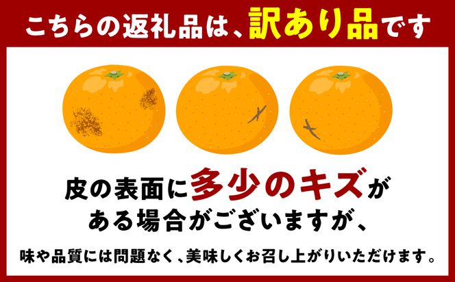 【先行予約】 【訳あり】 紅八朔 ご家庭用 約10kg 紅八朔 べにはっさく 柑橘 かんきつ 八朔 はっさく 果物 くだもの フルーツ 熊本県 八代市 【2027年2月上旬より順次発送】