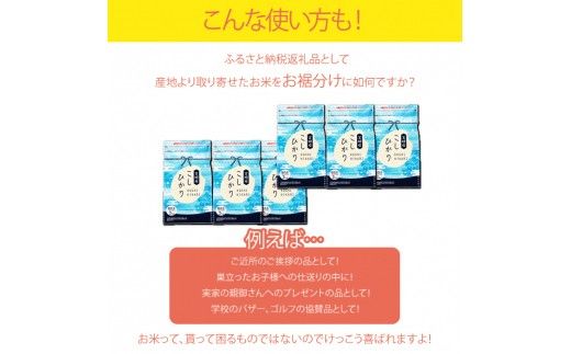 ＜令和5年産無洗米宮崎県産コシヒカリ 2kg×6＞翌々月末迄に順次出荷【c226_ag_x5】 合計12kg 米 無洗米 コシヒカリ
