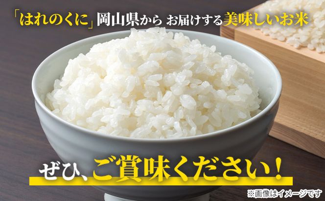 【令和5年産】白米 岡山県産 ひのひかり 笠岡産 120kg(20kg×6回)《30日以内に出荷予定(土日祝除く)》 農事組合法人奥山営農組合 太陽の恵み O-2_10k---O-02_120k_h---