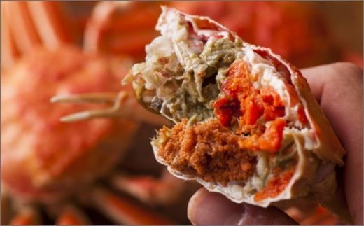【蟹の匠 魚政】内子外子が美味! 茹でたて セイコガニ（セコ蟹）（香箱ガニ）（こっぺ）中小サイズ 5匹セット カニ 蟹 セイコ蟹 セコガニ 香箱ガニ コッペガニ ボイル　UO01379