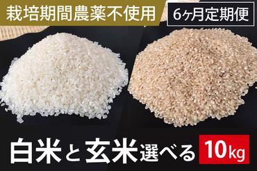 BI-69 6ヶ月定期便【栽培期間農薬不使用】白米または玄米　　10kg×6回